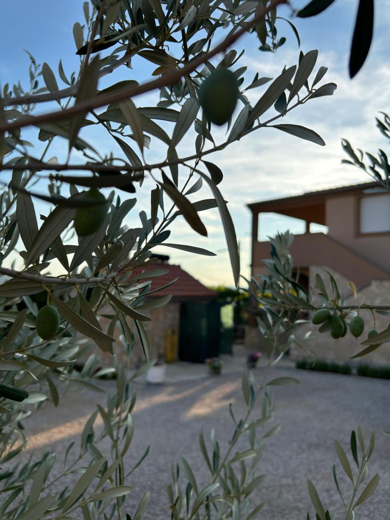 Danisacroatia Apartment Maslenica Luaran gambar